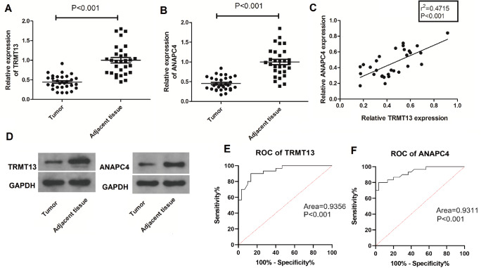 PMC11532200 – FIG2