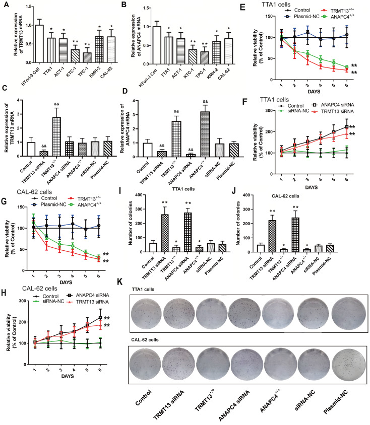 PMC11532200 – FIG3