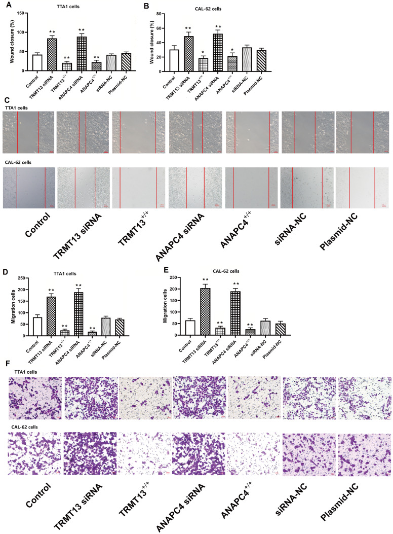 PMC11532200 – FIG4