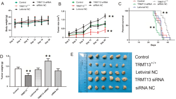 PMC11532200 – FIG5