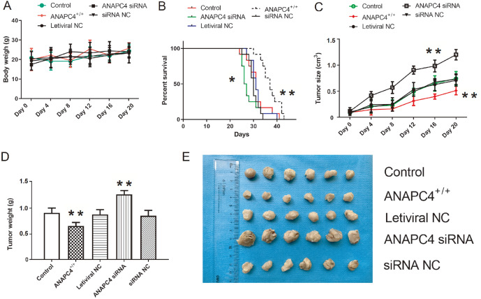 PMC11532200 – FIG6