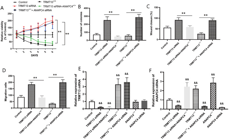 PMC11532200 – FIG7