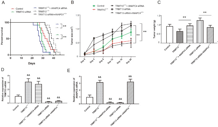 PMC11532200 – FIG8