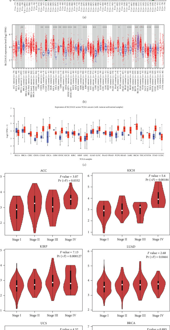 PMC11611429 – fig1