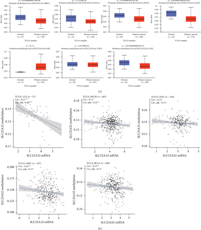 PMC11611429 – fig2