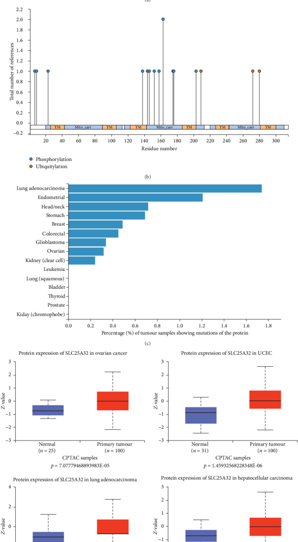 PMC11611429 – fig4