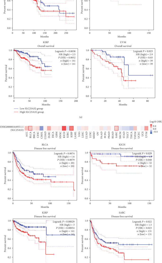 PMC11611429 – fig5