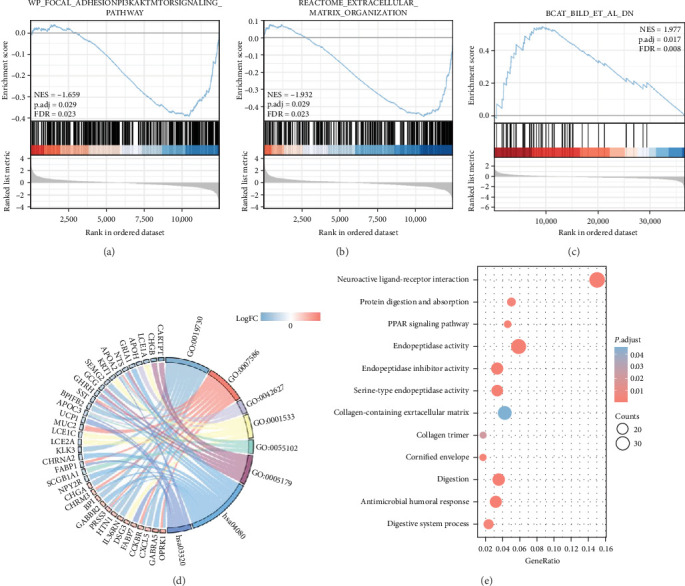 PMC11611429 – fig8