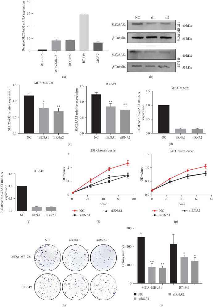 PMC11611429 – fig9