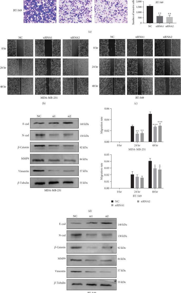 PMC11611429 – fig10