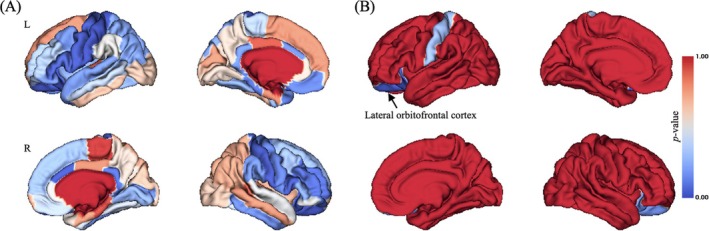 PMC12061635 – adb70040-fig-0001