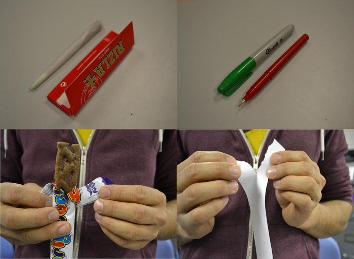 PMC10952555 – add16353-fig-0001