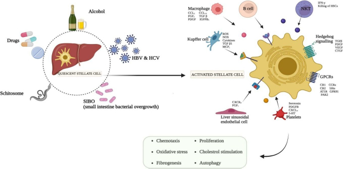 PMC12335298 – fig001