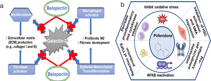 PMC12335298 – fig003