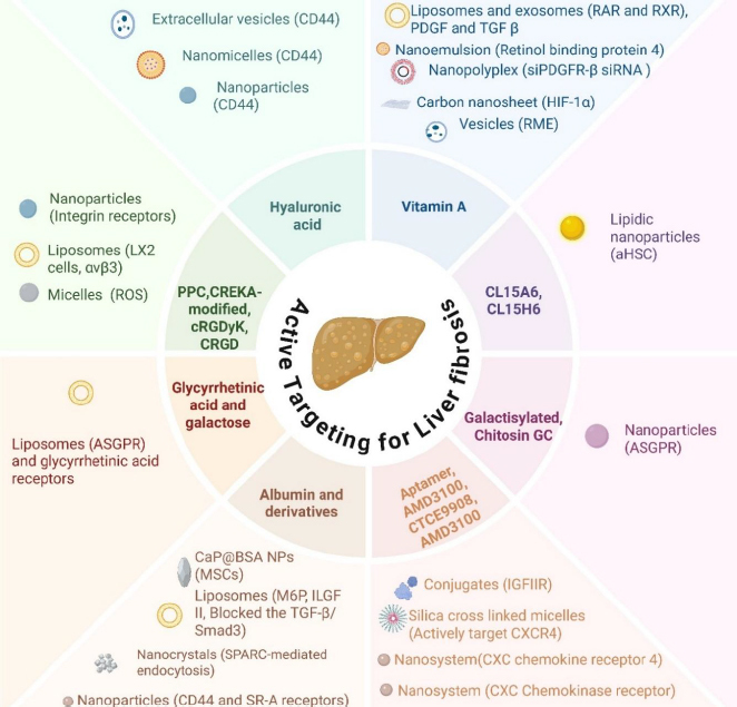 PMC12335298 – fig004