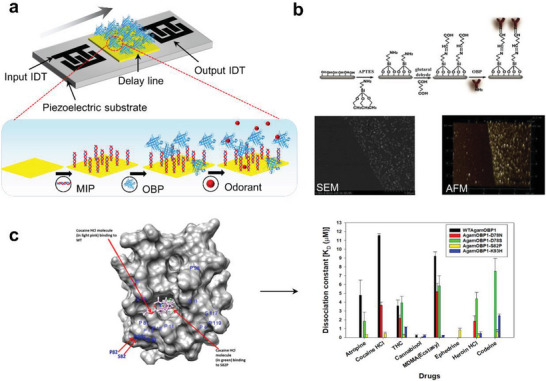PMC9929144 – advs4928-fig-0005