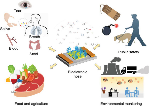 PMC9929144 – advs4928-fig-0007