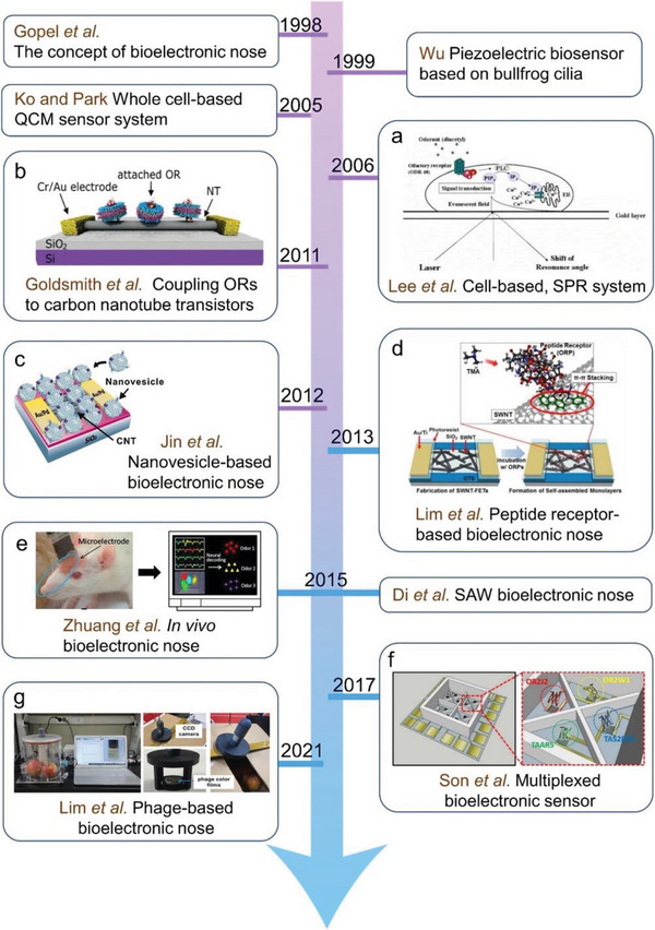 PMC9929144 – advs4928-fig-0003