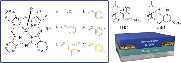 PMC11251552 – advs7716-fig-0001