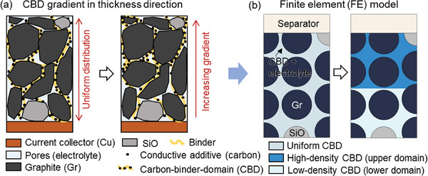PMC11304268 – advs8214-fig-0001