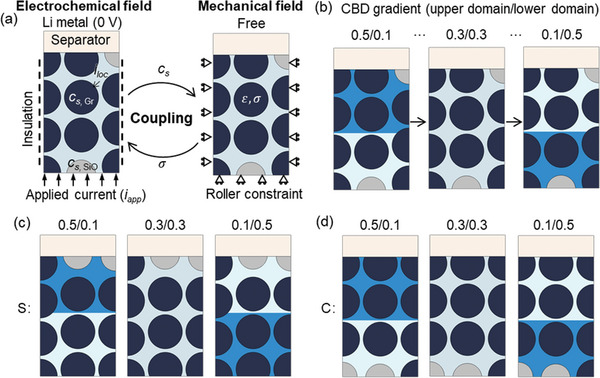 PMC11304268 – advs8214-fig-0010