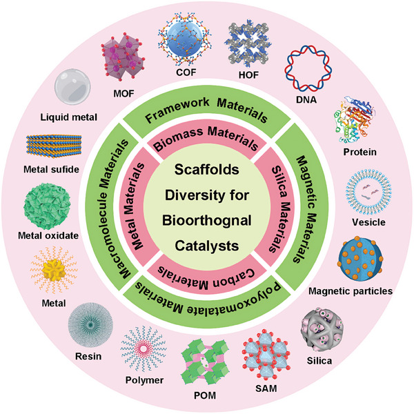 PMC11884534 – advs10985-fig-0001