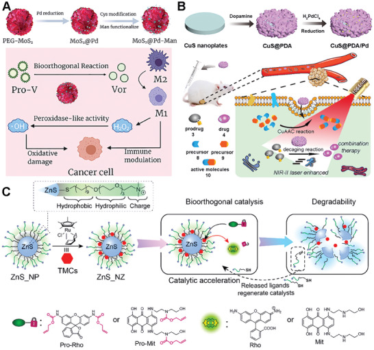 PMC11884534 – advs10985-fig-0005