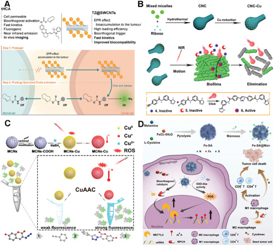 PMC11884534 – advs10985-fig-0010