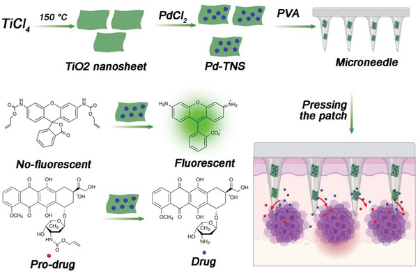 PMC11884534 – advs10985-fig-0004