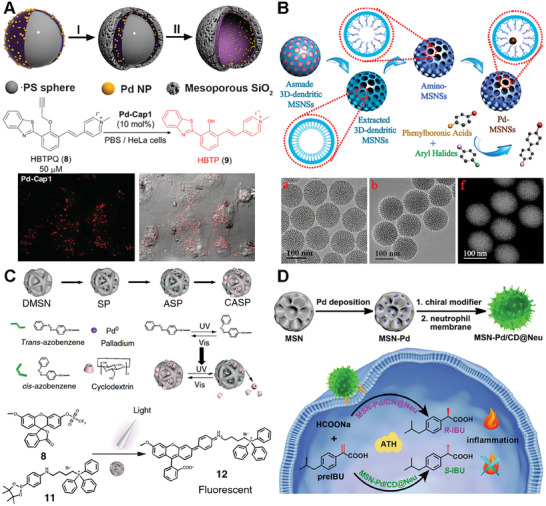 PMC11884534 – advs10985-fig-0011