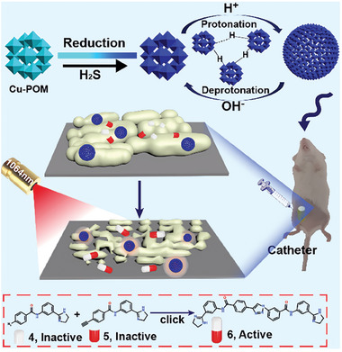 PMC11884534 – advs10985-fig-0012