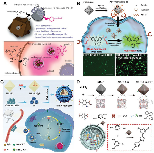 PMC11884534 – advs10985-fig-0007