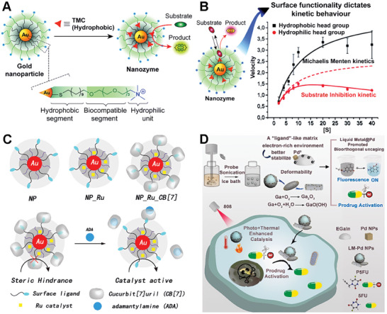 PMC11884534 – advs10985-fig-0003