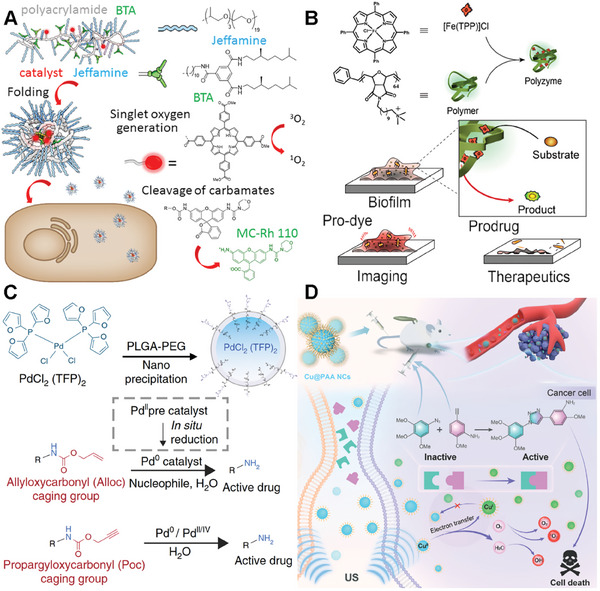 PMC11884534 – advs10985-fig-0002