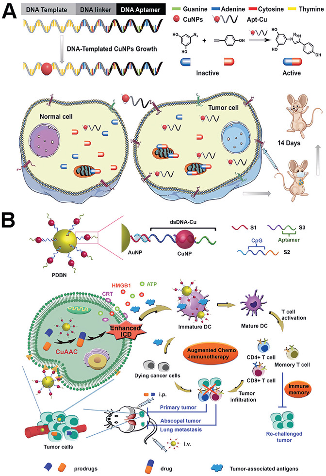 PMC11884534 – advs10985-fig-0015