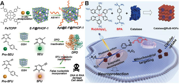 PMC11884534 – advs10985-fig-0009