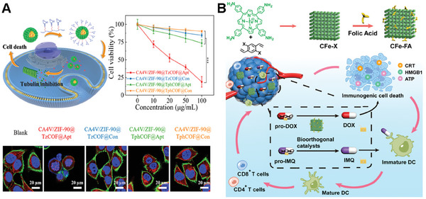 PMC11884534 – advs10985-fig-0008