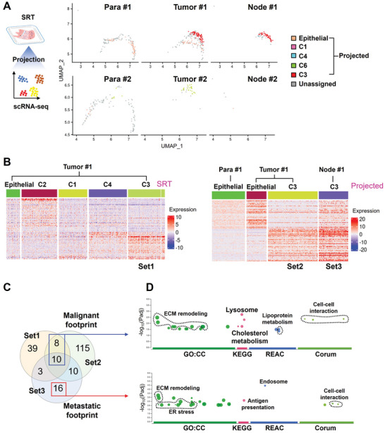 PMC11727256 – advs10076-fig-0003