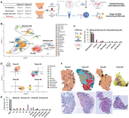 PMC11727256 – advs10076-fig-0001