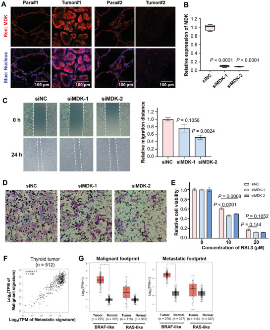 PMC11727256 – advs10076-fig-0004