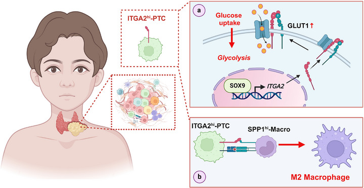 PMC12677704 – advs71889-fig-0007