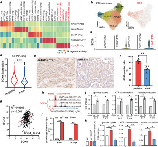 PMC12677704 – advs71889-fig-0004