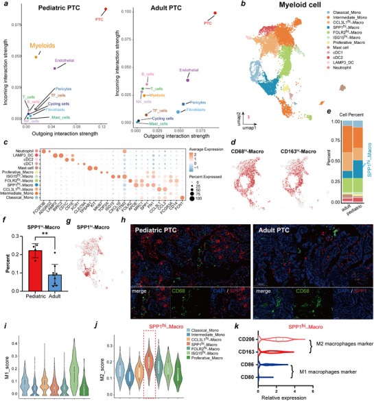 PMC12677704 – advs71889-fig-0005