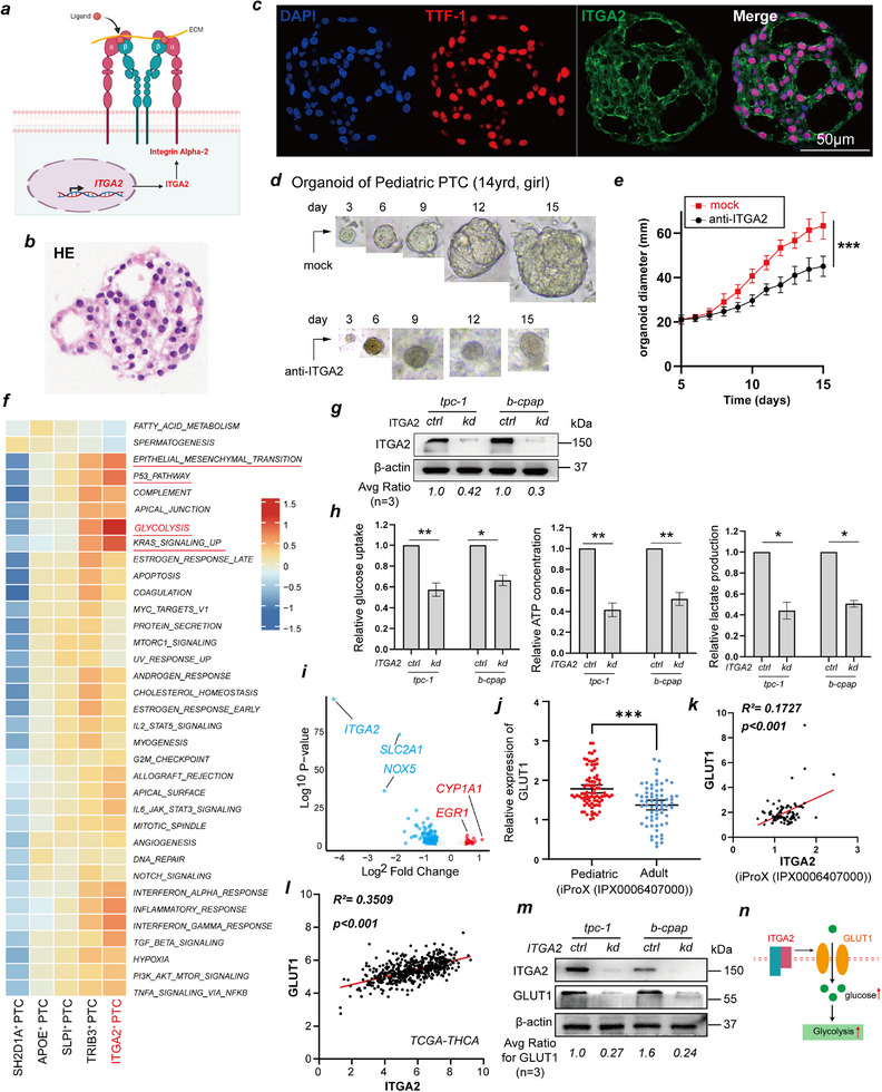 PMC12677704 – advs71889-fig-0003