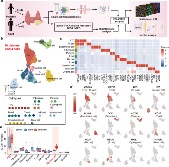 PMC12677704 – advs71889-fig-0001