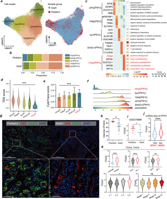 PMC12677704 – advs71889-fig-0002