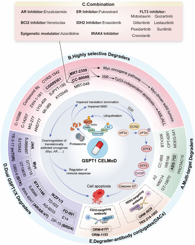 PMC12713026 – advs72646-fig-0005