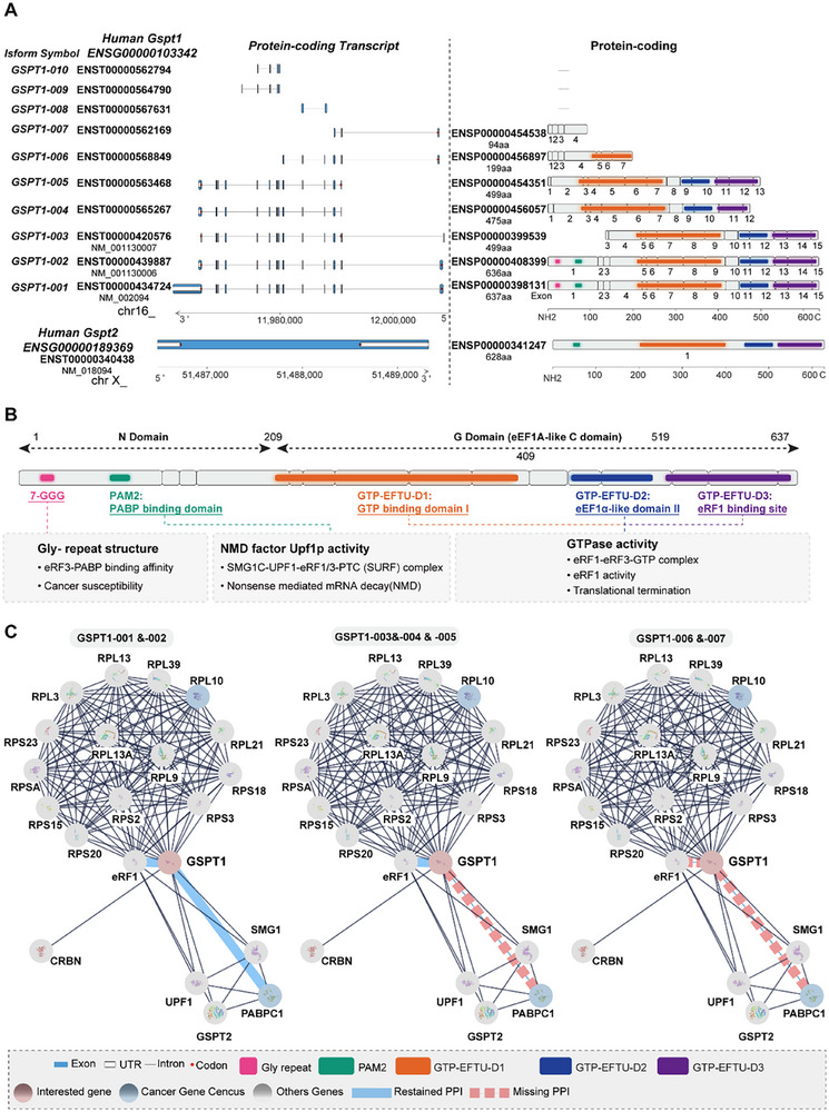 PMC12713026 – advs72646-fig-0001