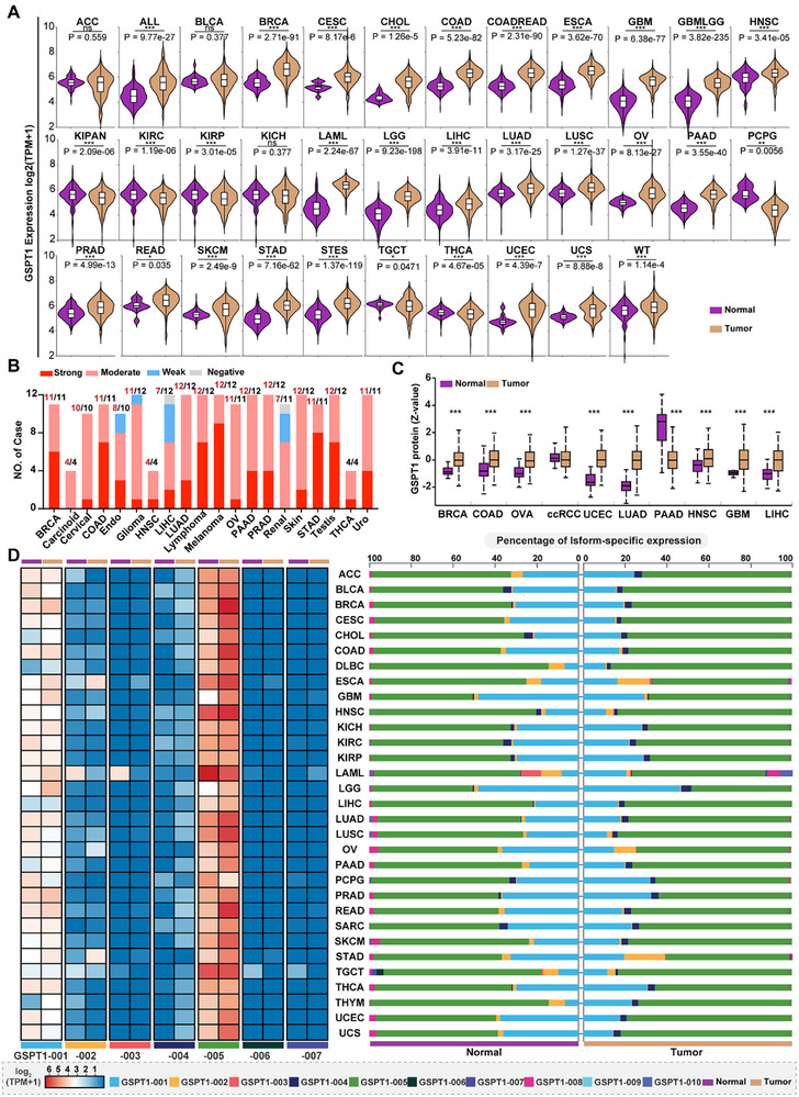 PMC12713026 – advs72646-fig-0002