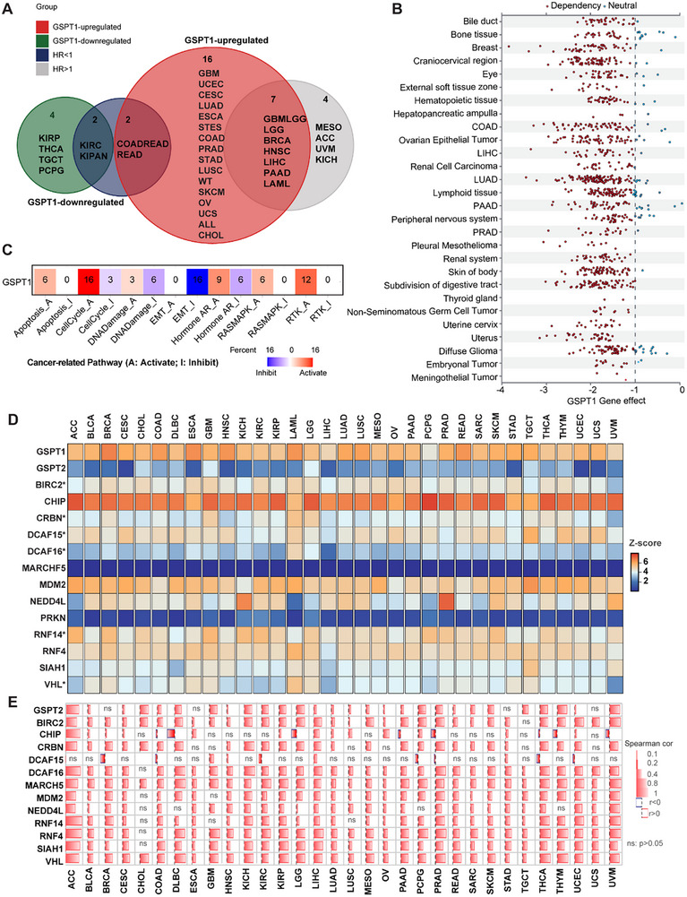 PMC12713026 – advs72646-fig-0006